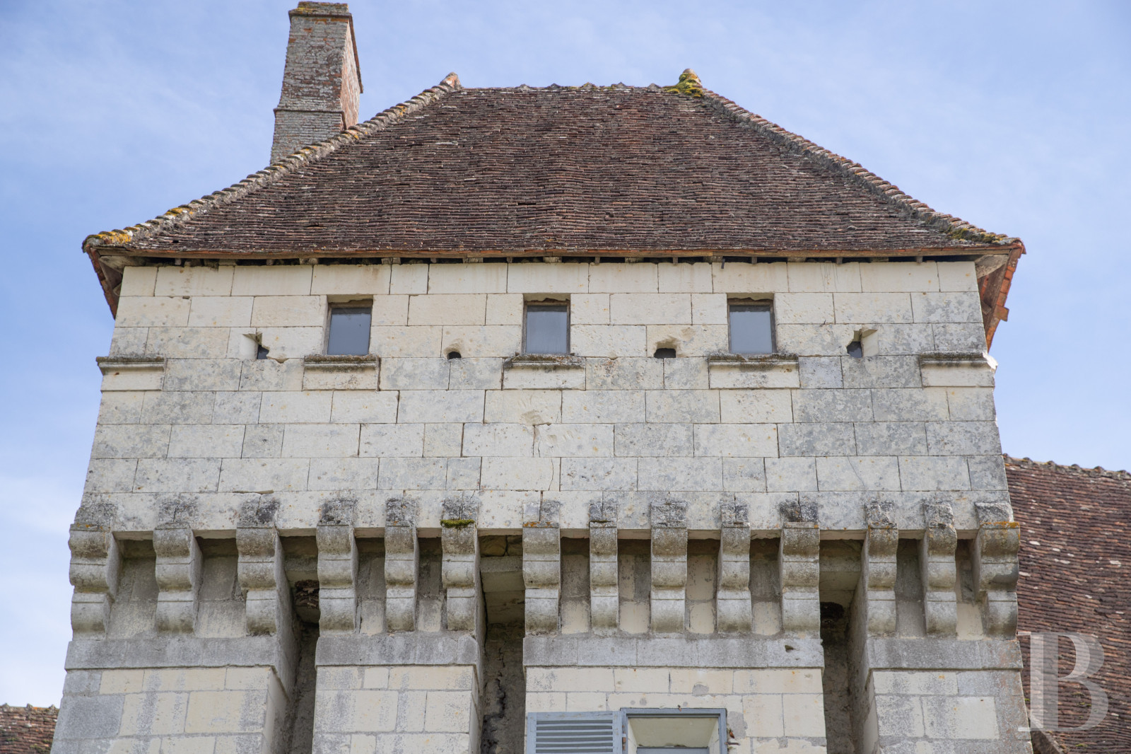 A former château-monastery and its 150-hectare estate near Loches, in Touraine - photo  n°4